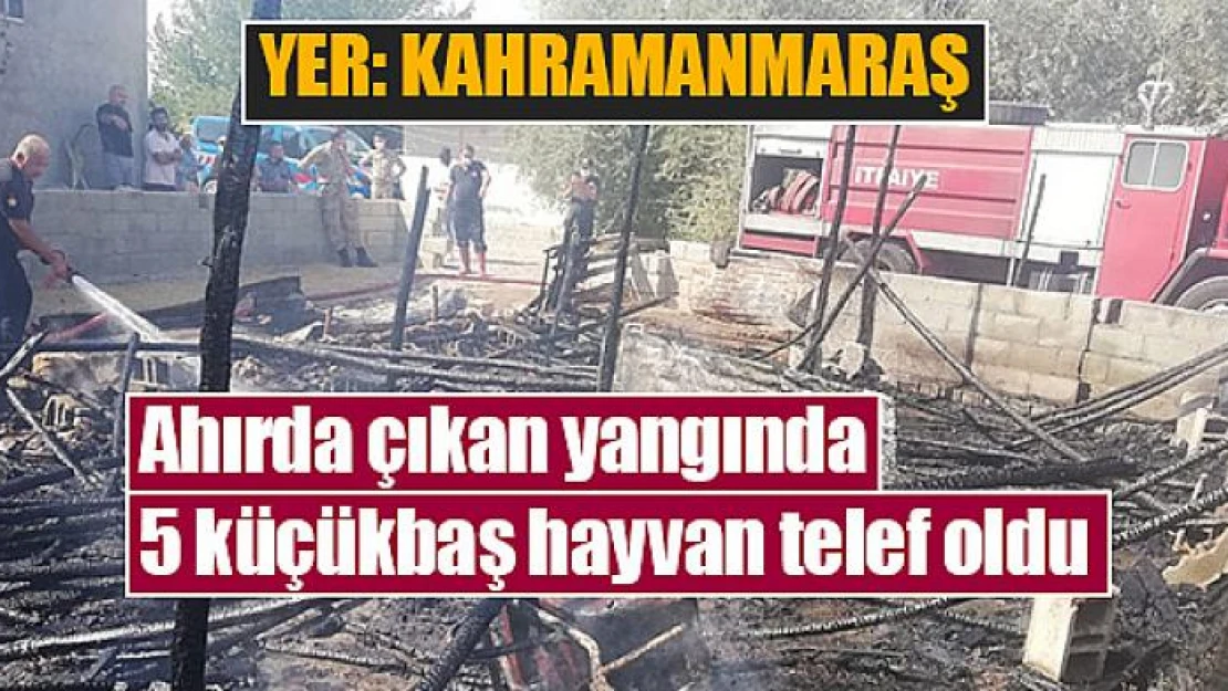 Ahırda çıkan yangında 5 küçükbaş hayvan telef oldu