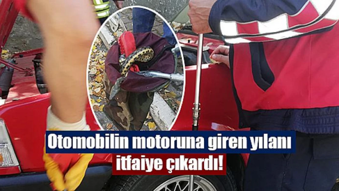 Otomobilin motoruna giren yılanı itfaiye çıkardı!