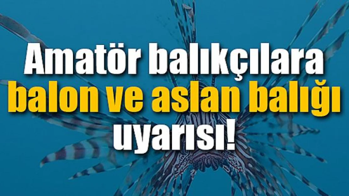 Amatör balıkçılara balon ve aslan balığı uyarısı