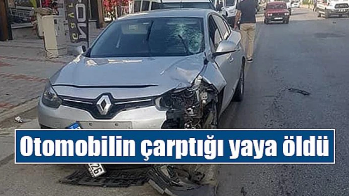 Otomobilin çarptığı yaya öldü