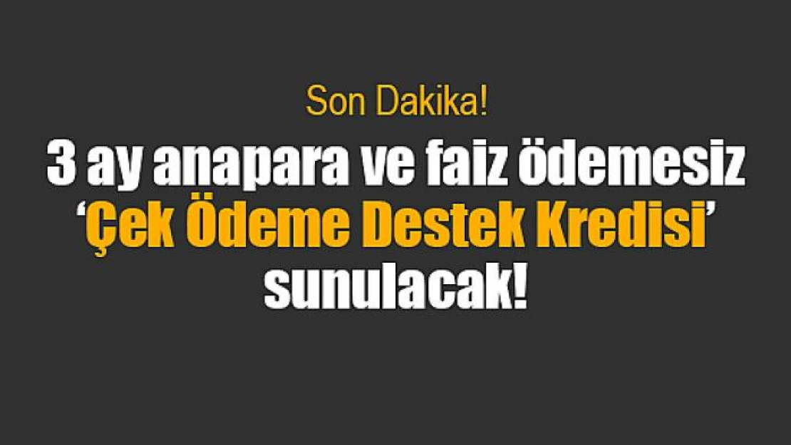 3 ay anapara ve faiz ödemesiz 'Çek Ödeme Destek Kredisi' sunulacak!