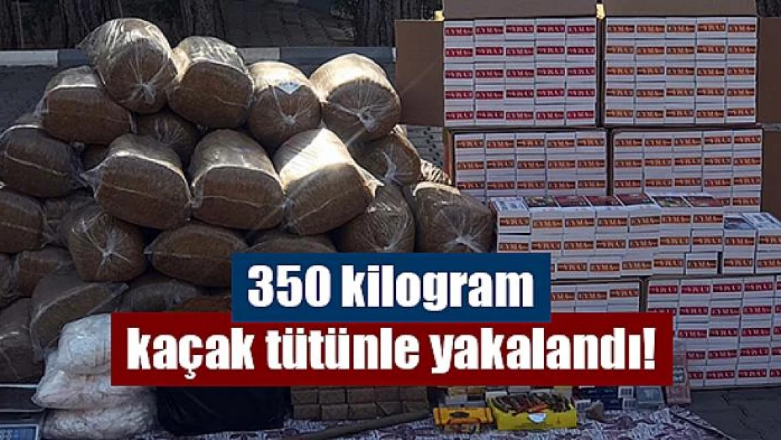 350 kilogram kaçak tütünle yakalandı!