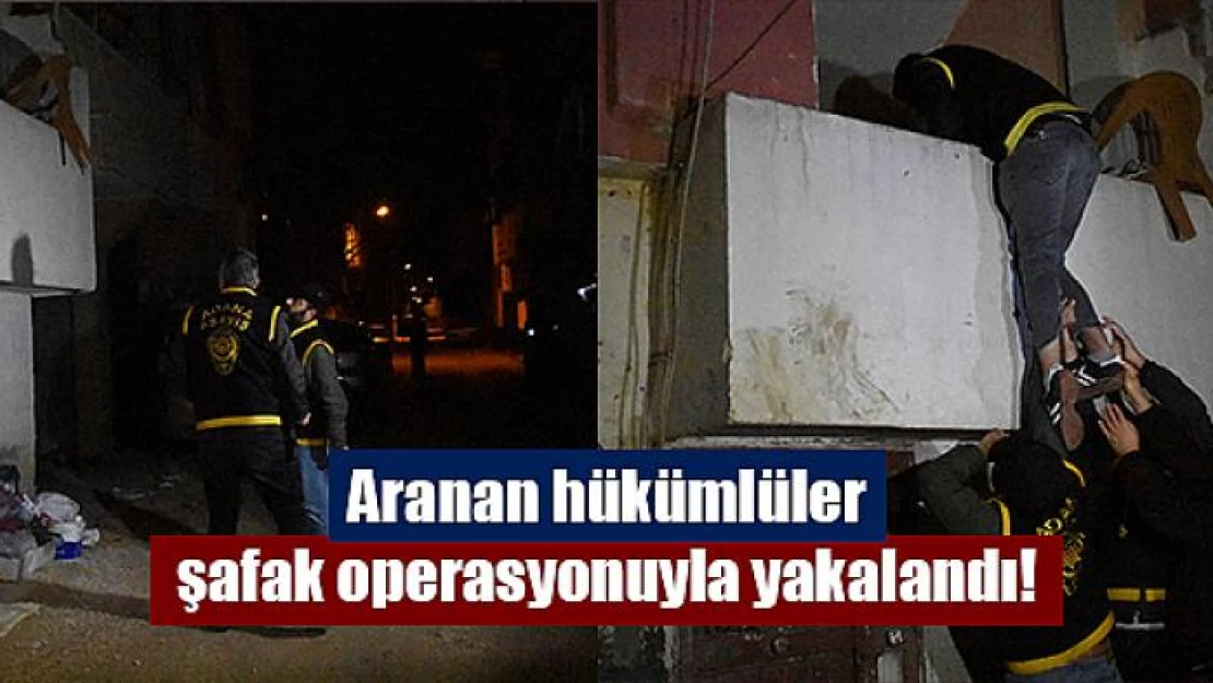 Aranan hükümlüler şafak operasyonuyla yakalandı!