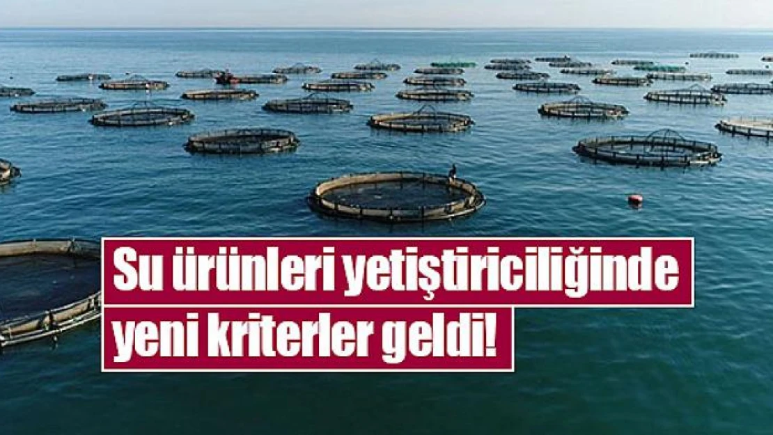 Su ürünleri yetiştiriciliğinde yeni kriterler geldi