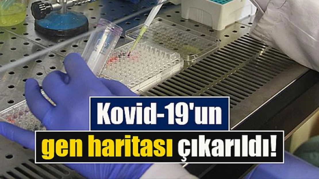 Kovid-19'un gen haritası çıkarıldı!