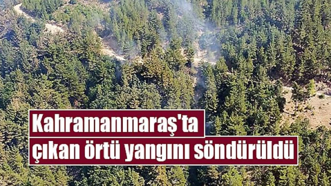 Kahramanmaraş'ta çıkan örtü yangını söndürüldü