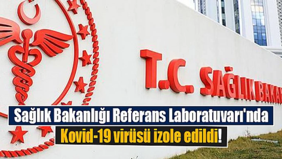 Referans Laboratuvarı'nda Kovid-19 virüsü izole edildi