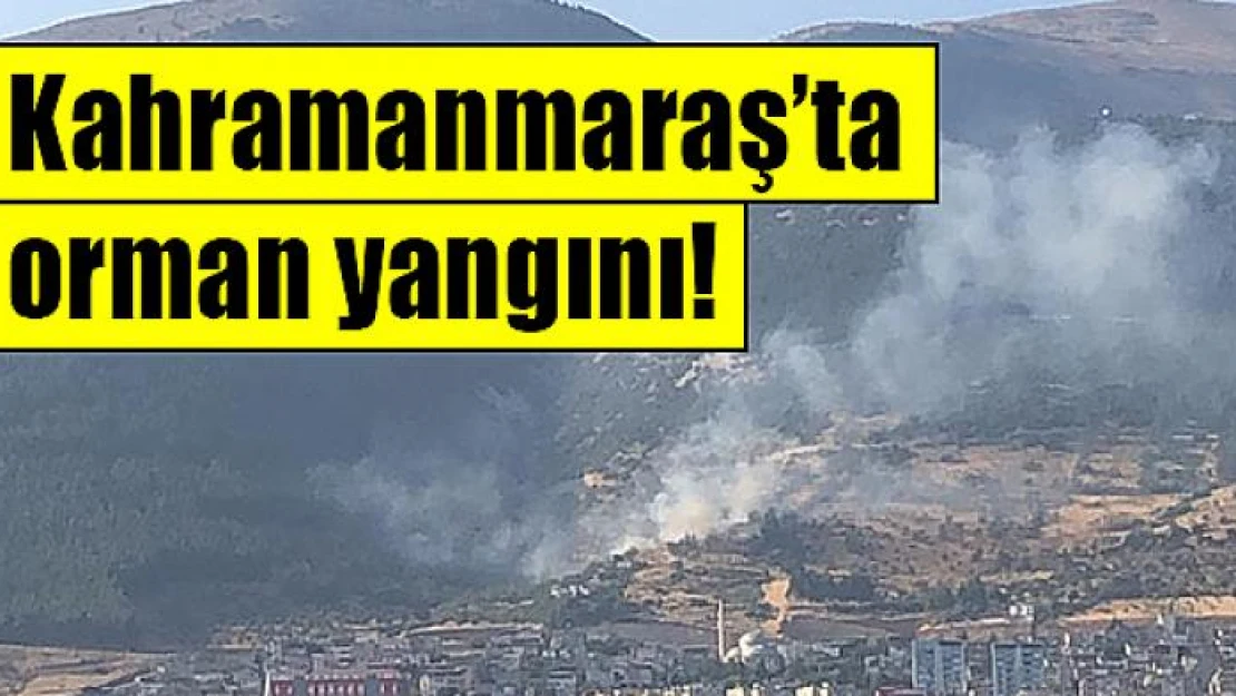 Kahramanmaraş'ta orman yangını