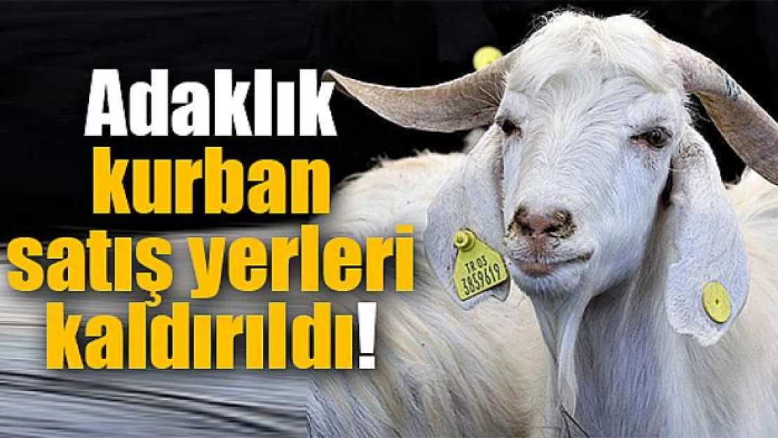 Adaklık kurban satış yerleri kaldırıldı!