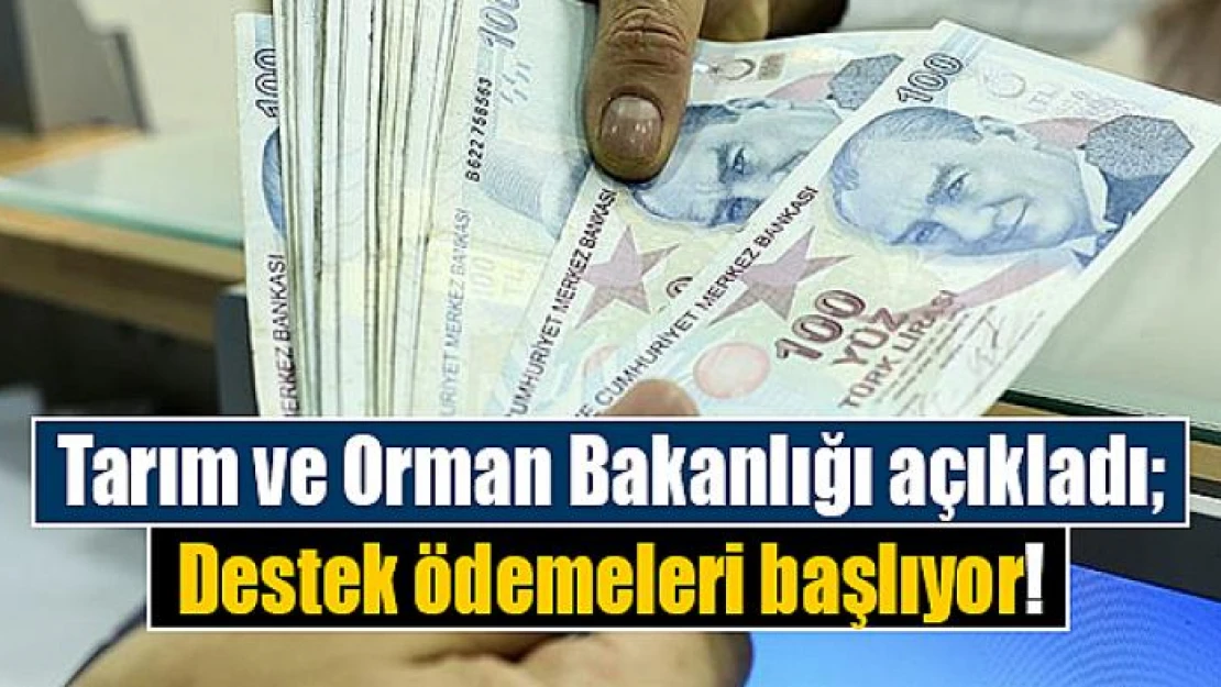 Tarım ve Orman Bakanlığı açıkladı Destek ödemeleri başlıyor!