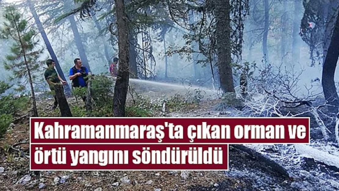 Kahramanmaraş'ta çıkan orman ve örtü yangını söndürüldü