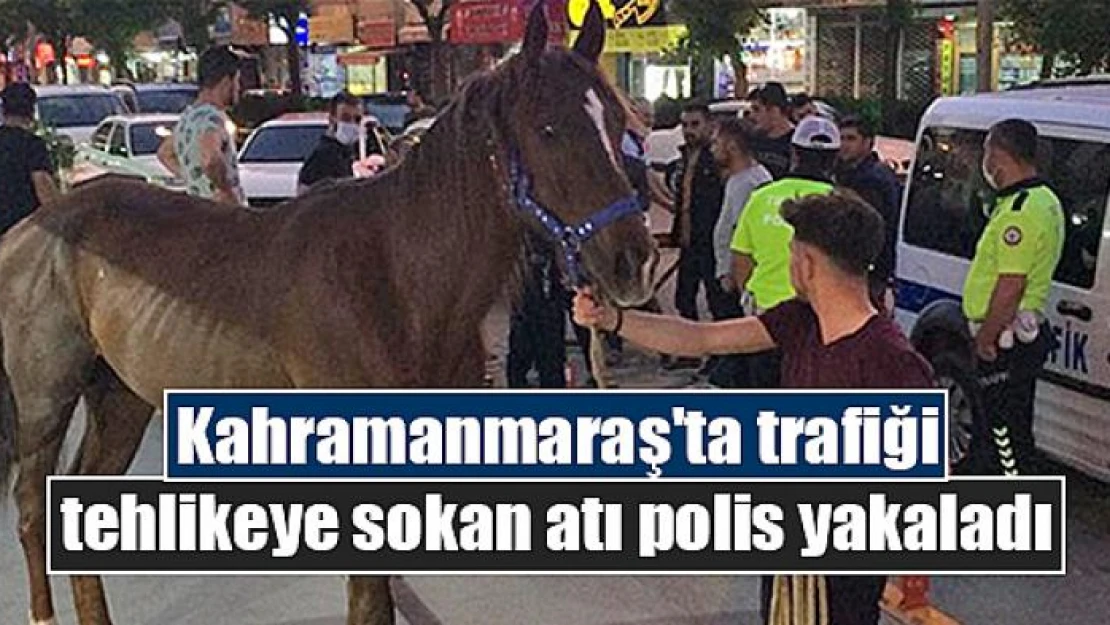 Kahramanmaraş'ta trafiği tehlikeye sokan atı polis yakaladı