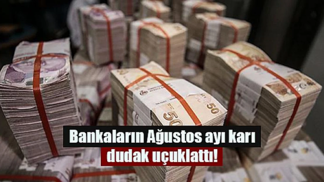 Bankaların Ağustos ayı karı dudak uçuklattı!