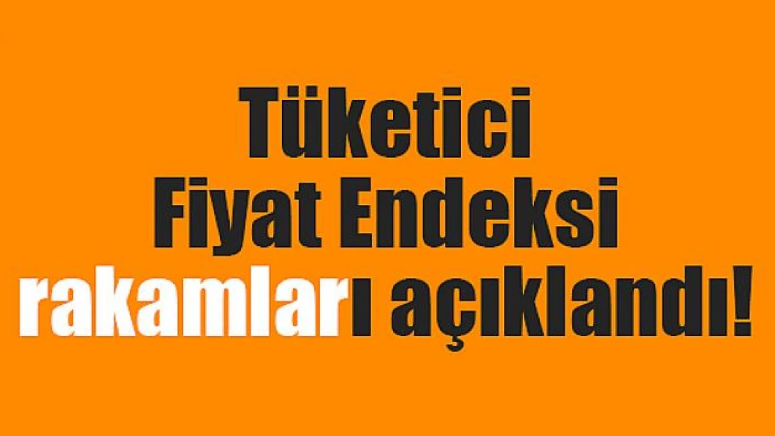 Tüketici Fiyat Endeksi rakamları açıklandı