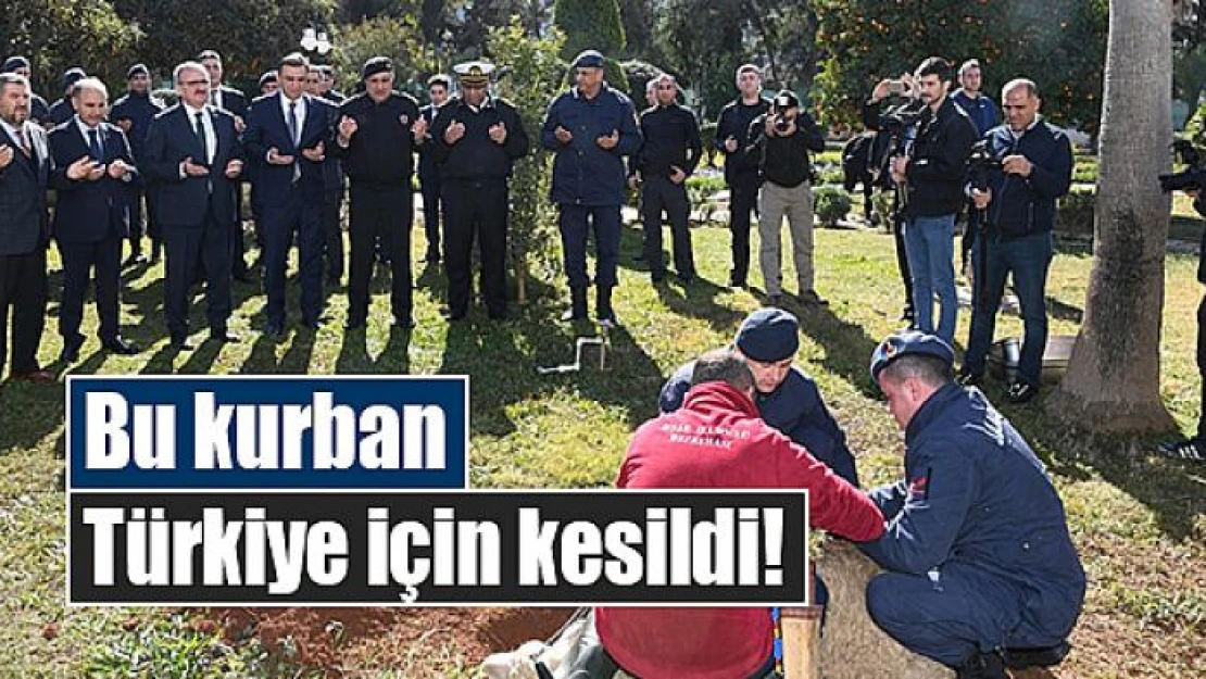 Bu kurban Türkiye için kesildi!