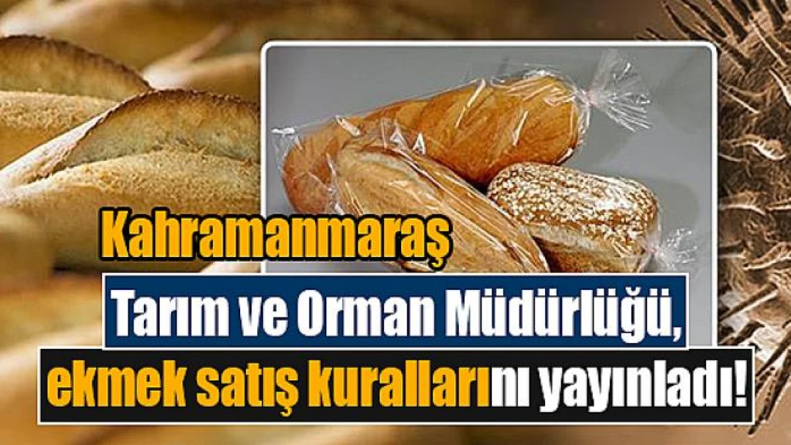 Tarım ve Orman Müdürlüğü, ekmek satış kurallarını yayınladı!