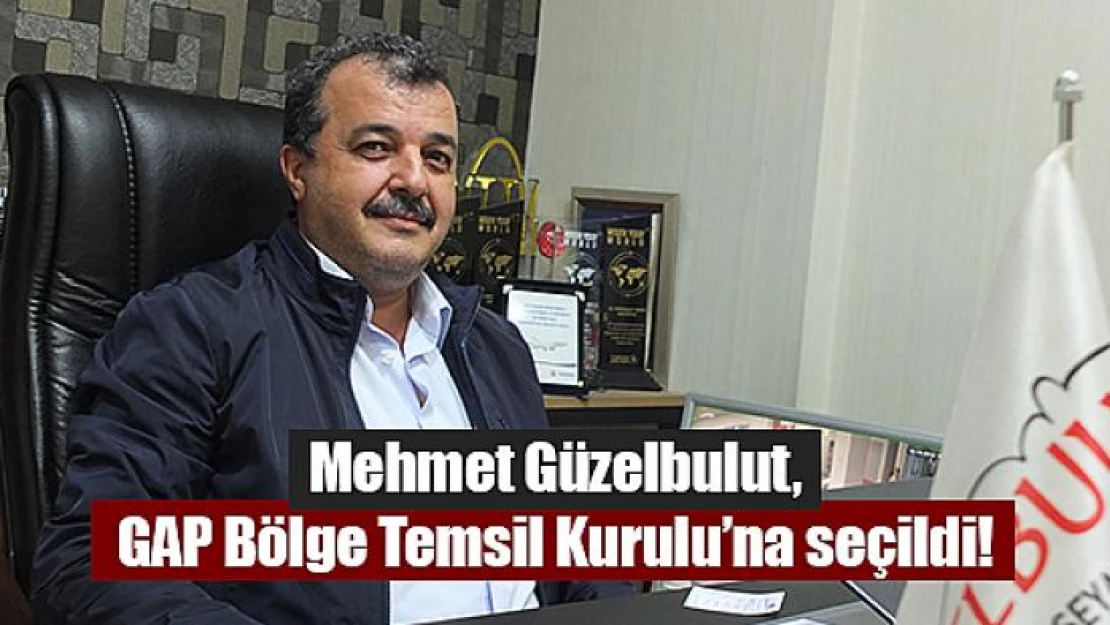 Mehmet Güzelbulut, GAP Bölge Temsil Kurulu'na seçildi!