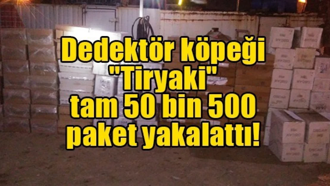 Dedektör köpeği 'Tiryaki' tam 50 bin 500 paket yakalattı!