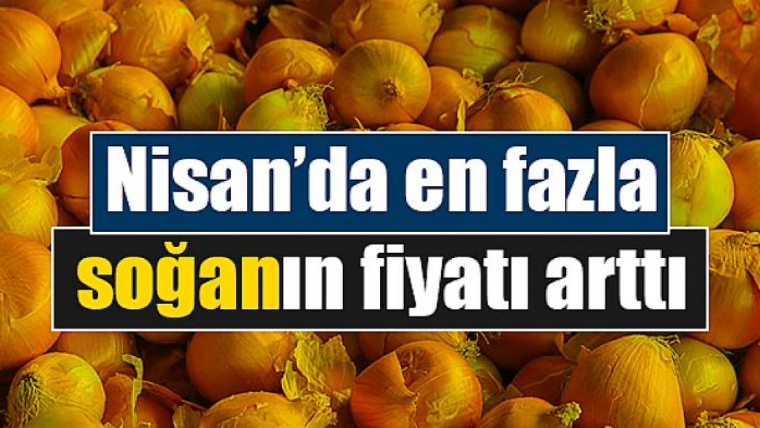 Nisan'da en fazla soğanın fiyatı arttı