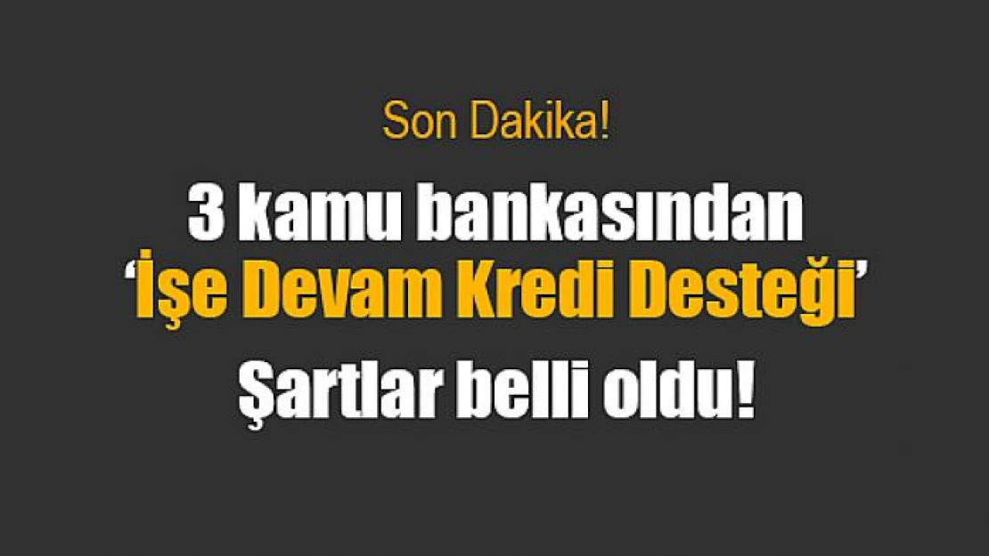 3 kamu bankasından 'İşe Devam Kredi Desteği'