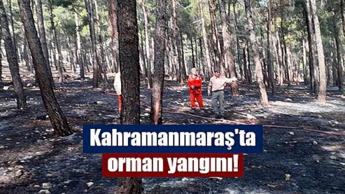 Kahramanmaraş'ta orman yangını!