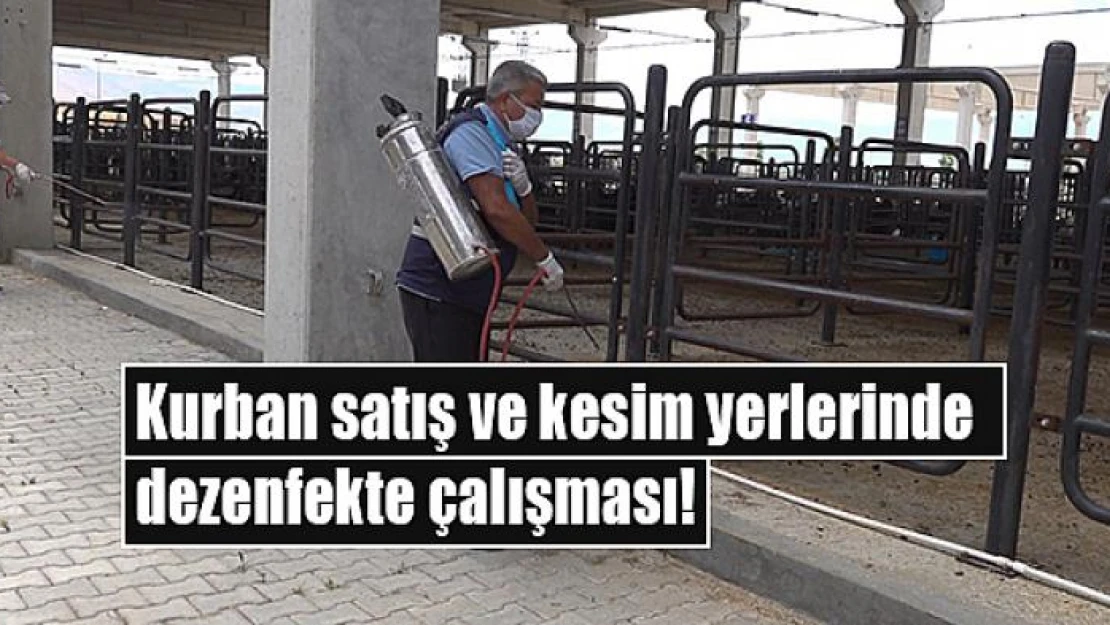 Kurban satış ve kesim yerlerinde dezenfekte çalışması