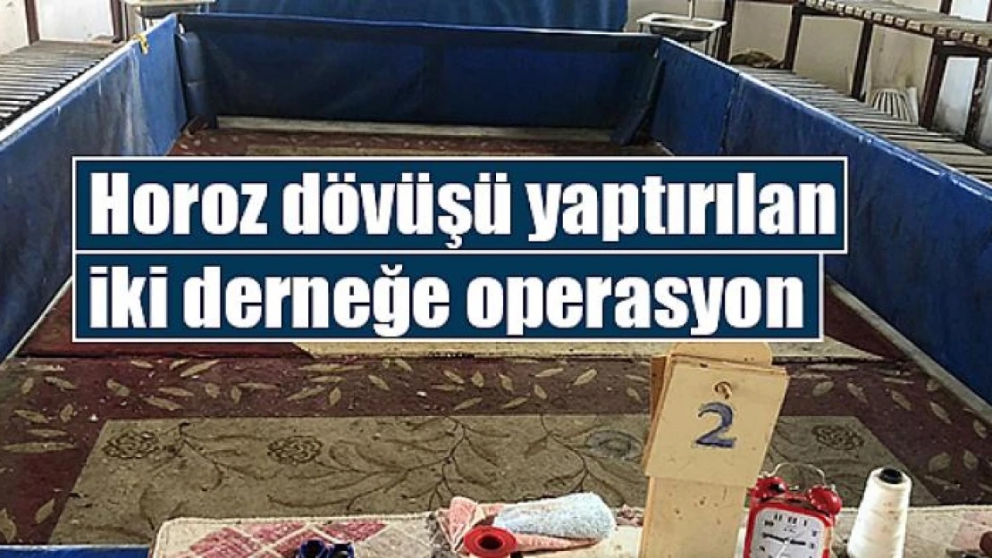 Horoz dövüşü yaptırılan iki derneğe operasyon