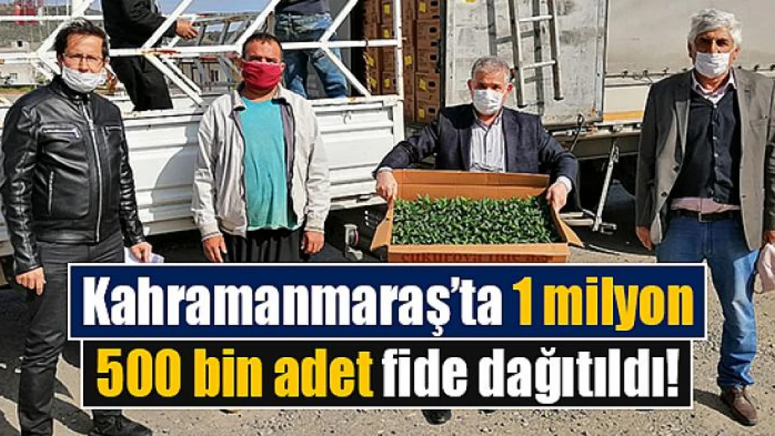 Kahramanmaraş'ta 1 milyon 500 bin adet fide dağıtıldı!