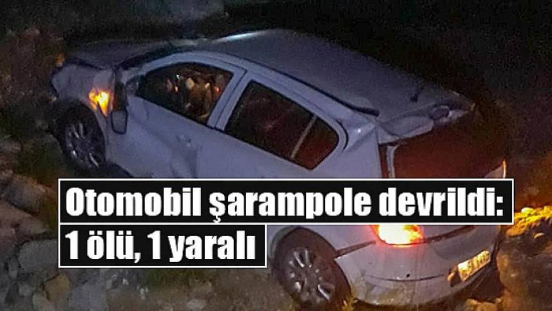 Otomobil şarampole devrildi: 1 ölü, 1 yaralı