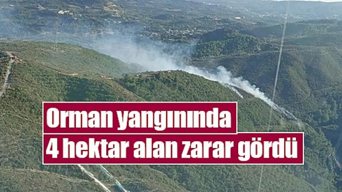 Orman yangınında 4 hektar alan zarar gördü