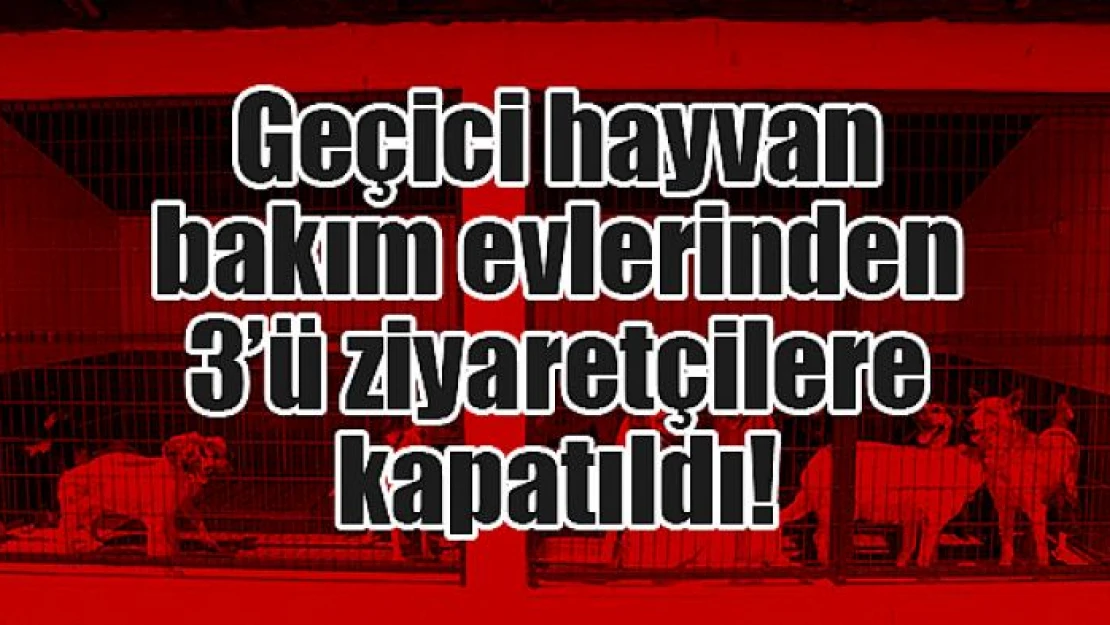 Geçici hayvan bakım evlerinden 3'ü ziyaretçilere kapatıldı!