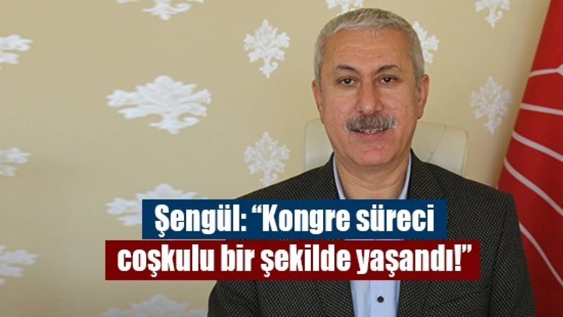 Şengül: 'Kongre süreci coşkulu bir şekilde yaşandı!'