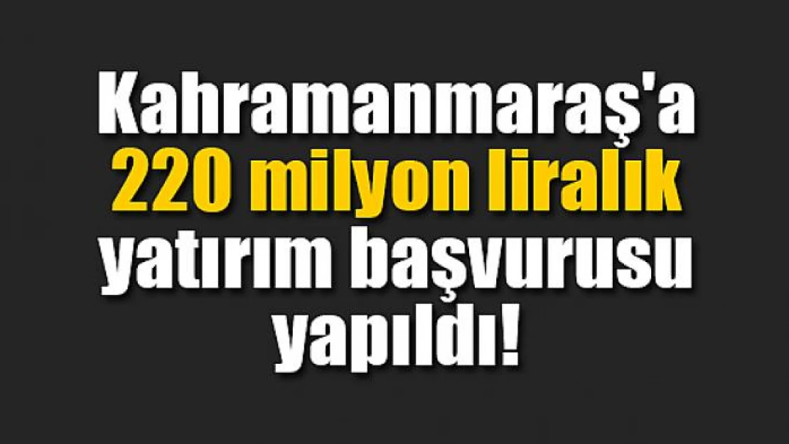 220 milyon liralık yatırım başvurusu yapıldı