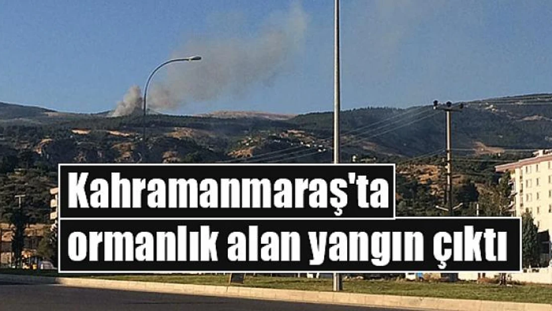 Kahramanmaraş'ta ormanlık alan yangın çıktı