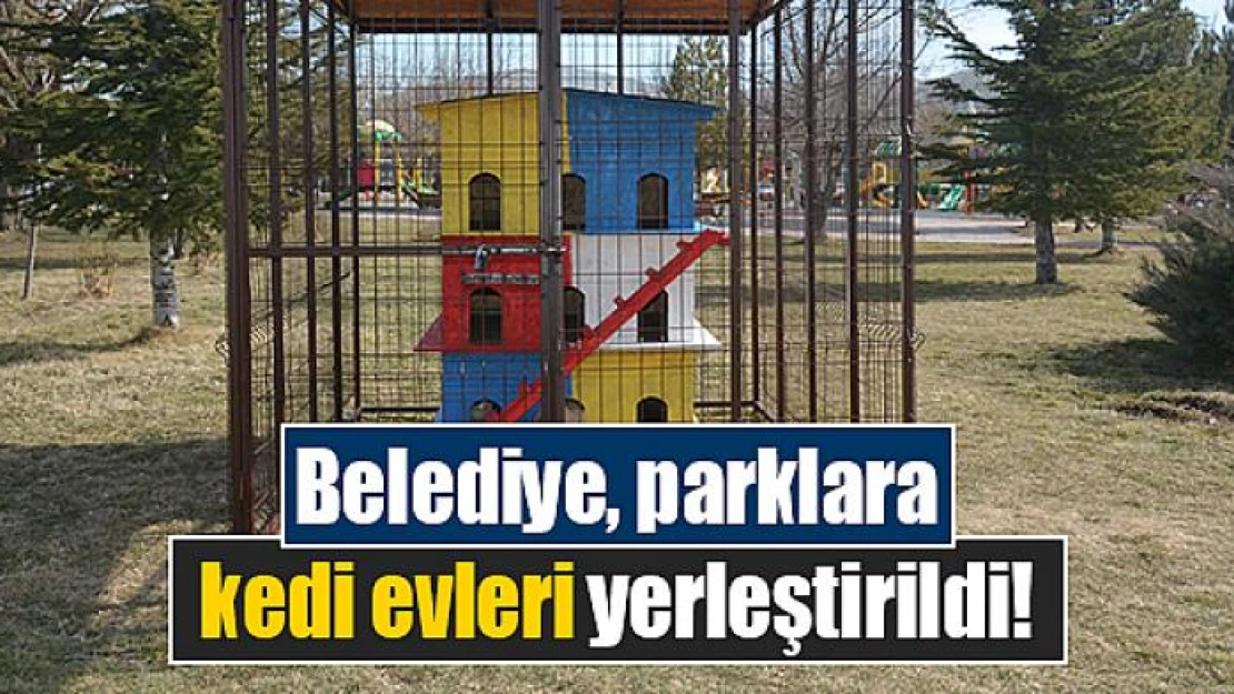 Belediye, parklara kedi evleri yerleştirildi!