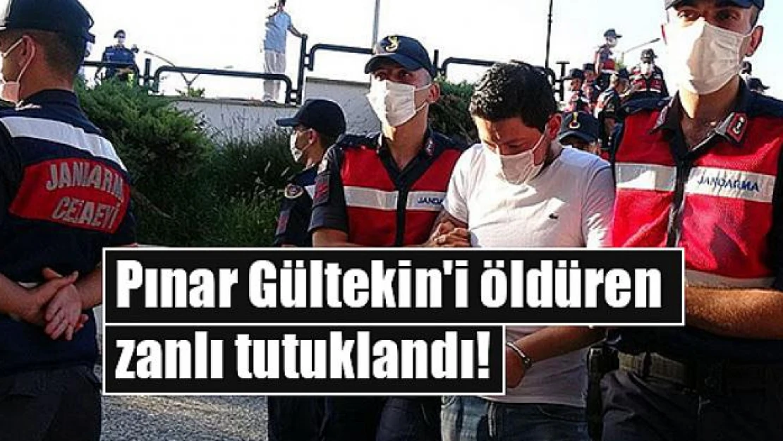 Pınar Gültekin'i öldüren zanlı tutuklandı