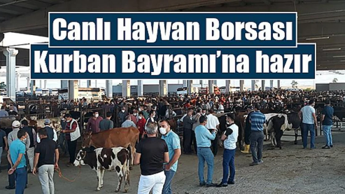 Canlı Hayvan Borsası Kurban Bayramı'na hazır