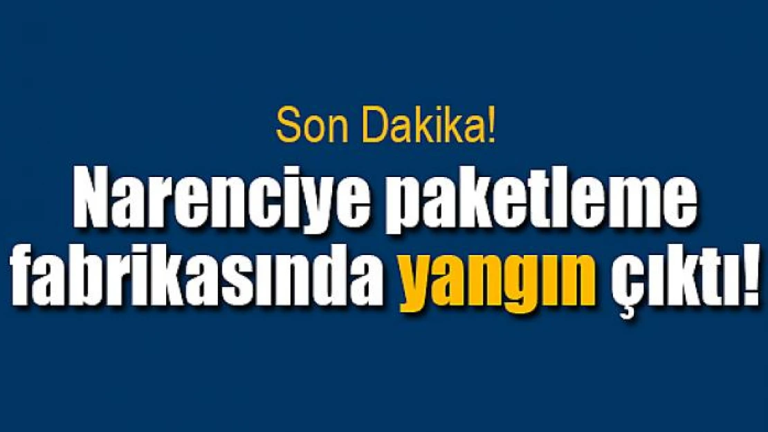 Narenciye paketleme fabrikasında yangın çıktı