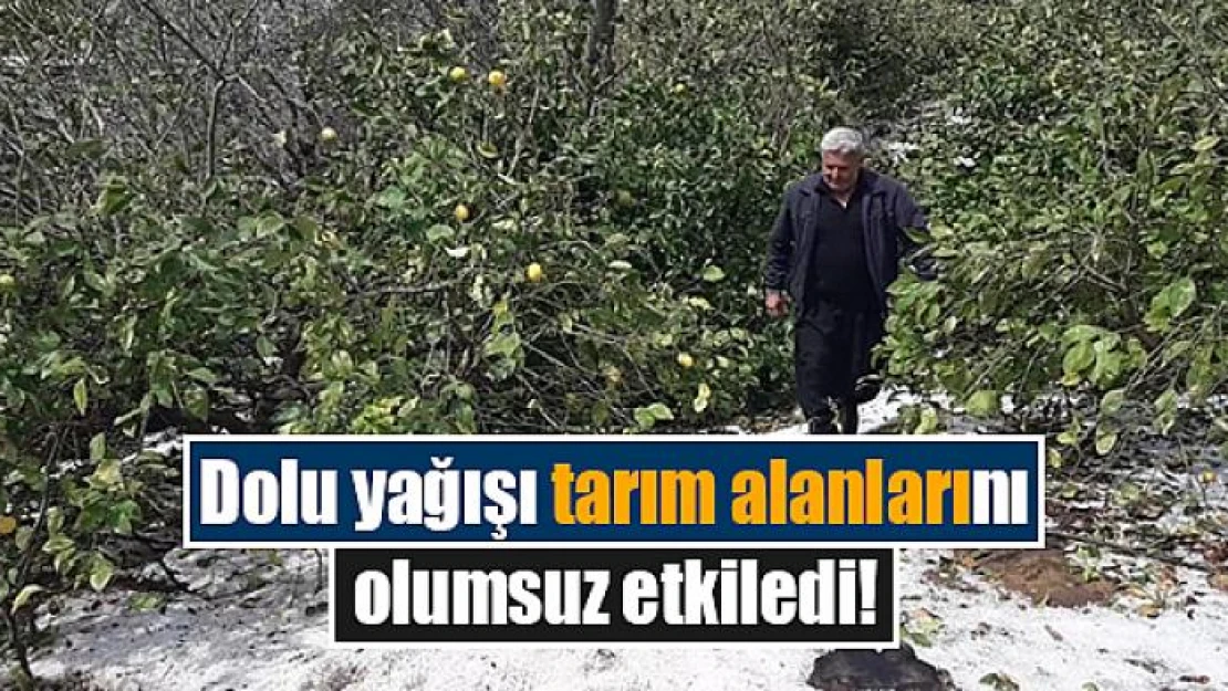 Dolu yağışı tarım alanlarını olumsuz etkiledi!