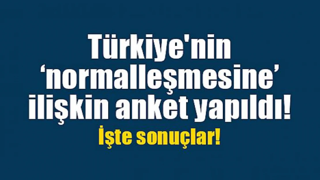 Türkiye'nin 'normalleşmesine' ilişkin anket yapıldı