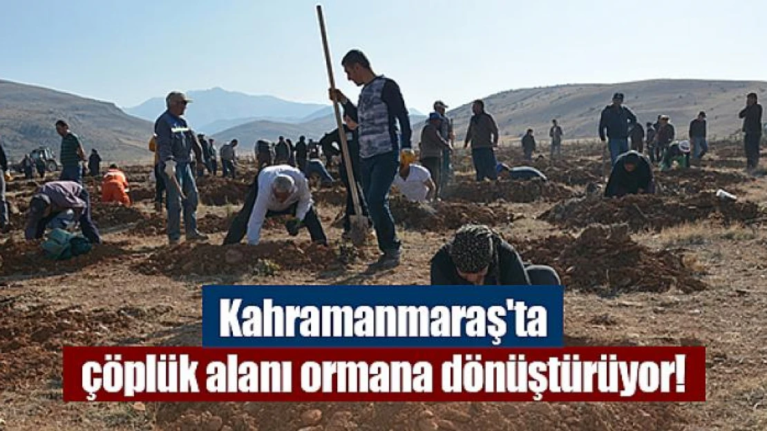 Kahramanmaraş'ta çöplük alanı ormana dönüştürüyor!