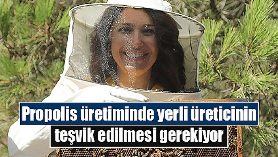 Propolis üretiminde yerli üreticinin teşvik edilmesi gerekiyor