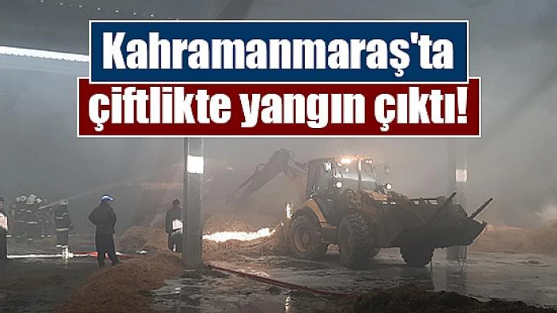 Kahramanmaraş'ta çiftlikte yangın çıktı!