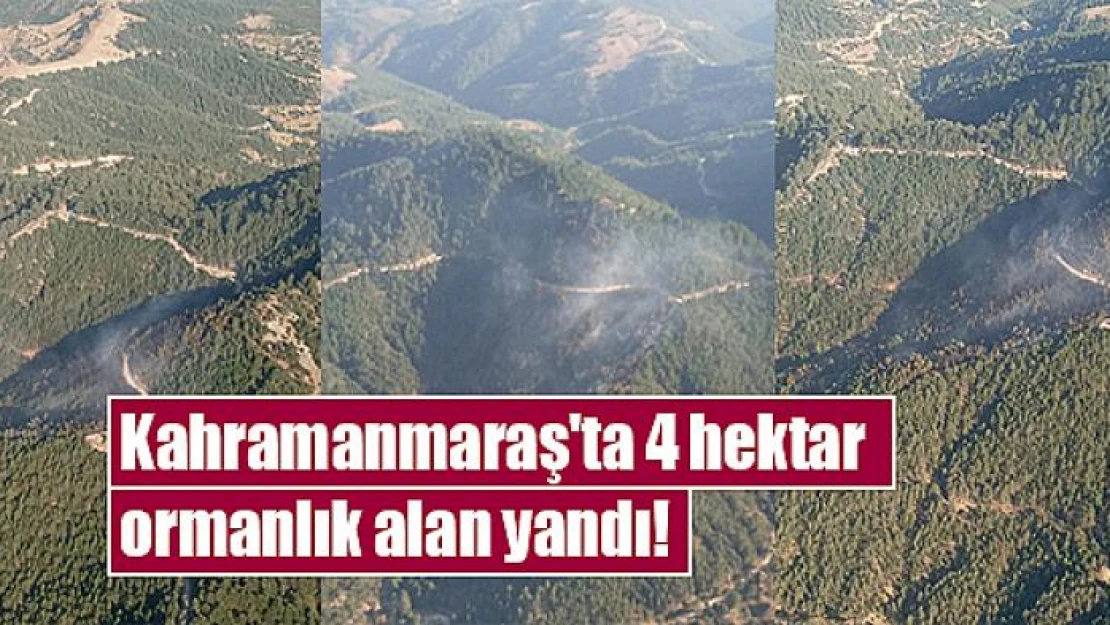 Kahramanmaraş'ta 4 hektar ormanlık alan yandı