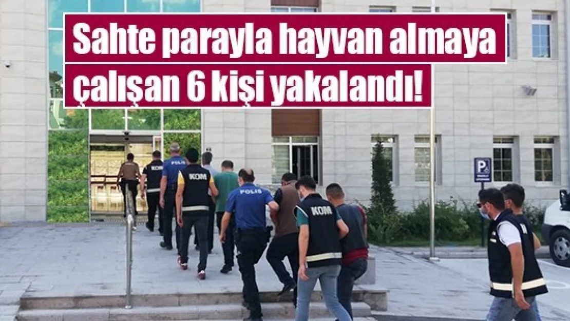 Sahte parayla hayvan almaya çalışan 6 kişi yakalandı