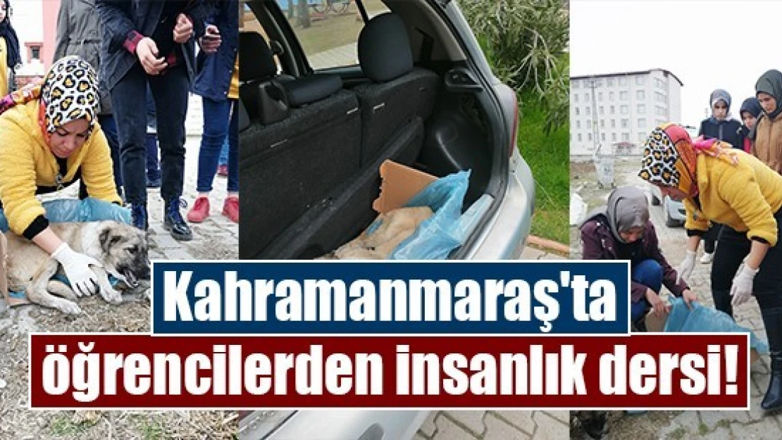 Kahramanmaraş'ta öğrencilerden insanlık dersi!