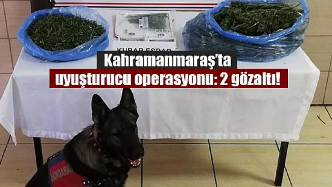 Kahramanmaraş'ta uyuşturucu operasyonu: 2 gözaltı!