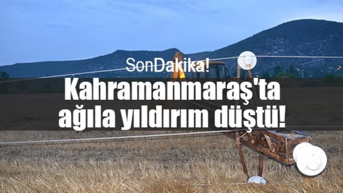 Kahramanmaraş'ta ağıla yıldırım düştü!