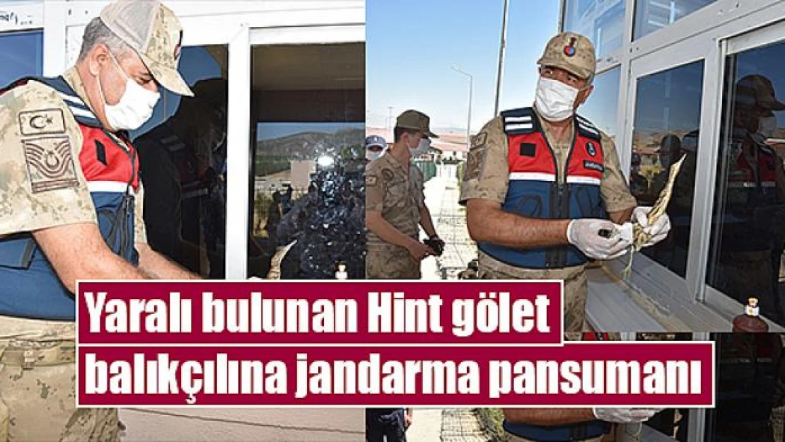 Yaralı bulunan Hint gölet balıkçılına jandarma pansumanı