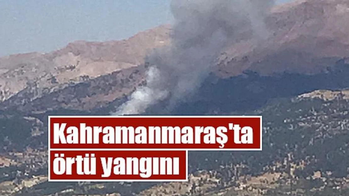 Kahramanmaraş'ta örtü yangını